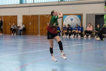 Bild 310 - F HSG Kremperheide/Muensterdorf - HSG Holstein Kiel/Kronshagen : Ergebnis: 31:26